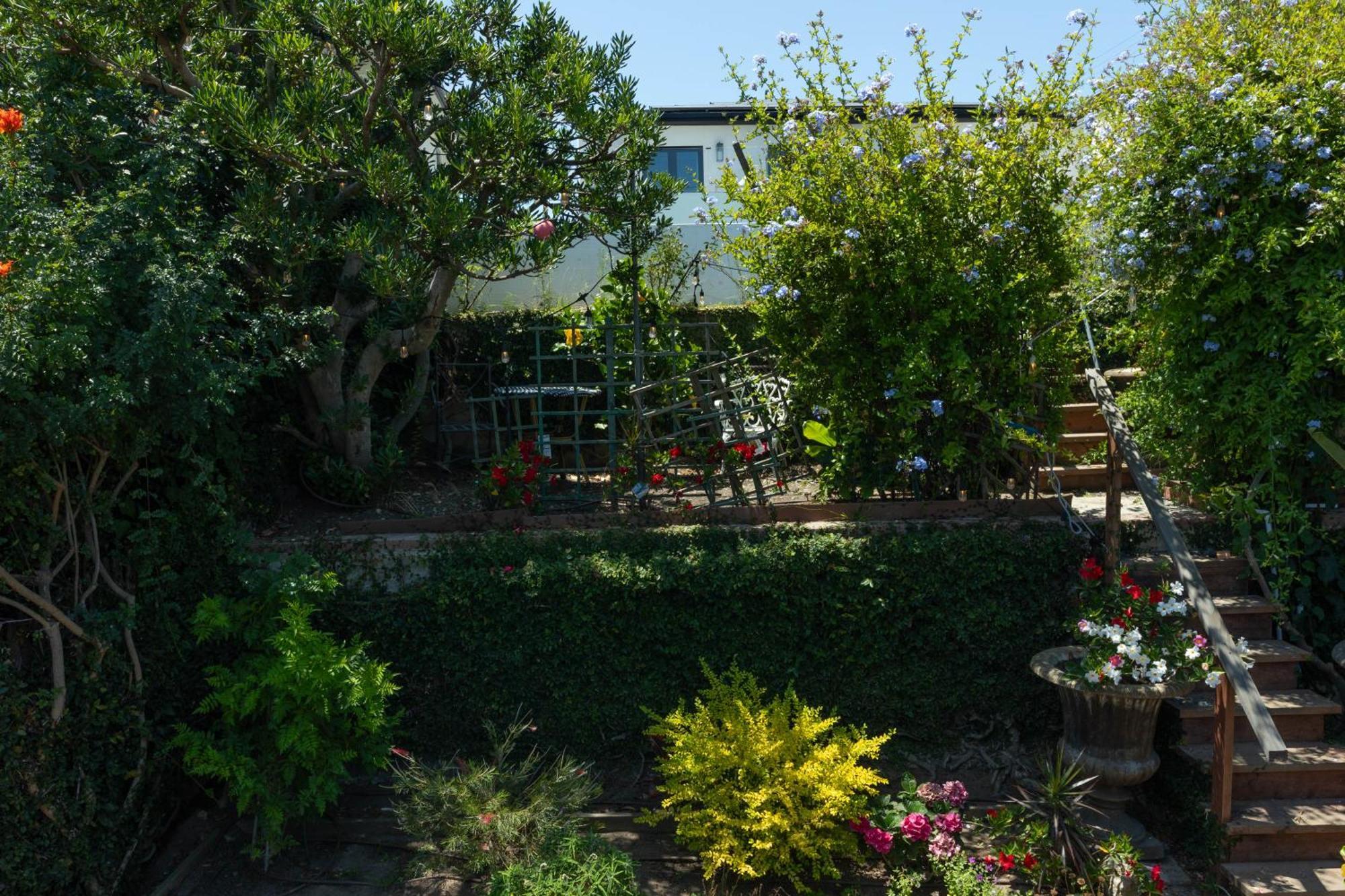 Overlooking Marina Del Rey Sailboats, Is Green Ginger Playa Del Rey On The Bluff, — Photos 1